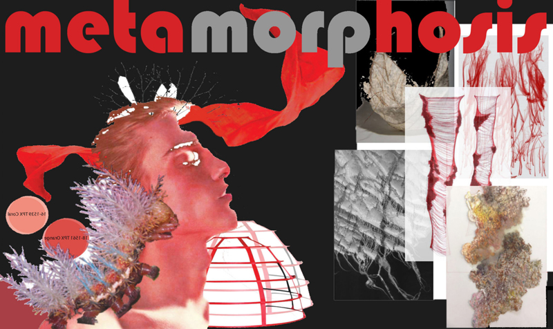 Metamorphosis 1