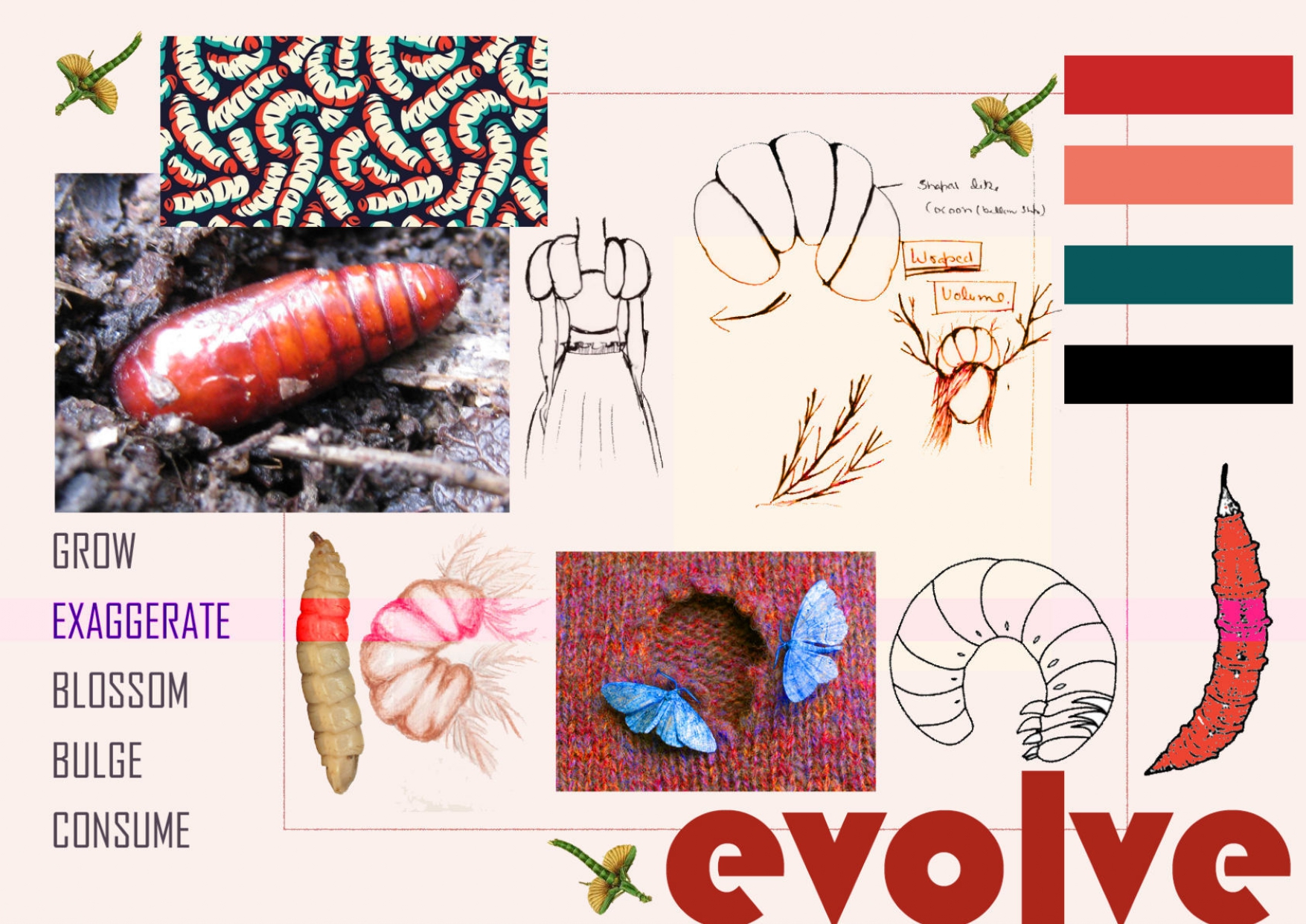 Metamorphosis 18